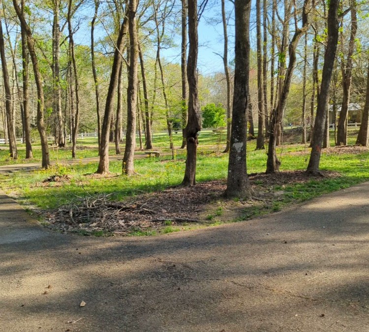 Reid Memorial Park Trail (Magnolia,&nbspMS)